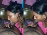Desi Wife Testing Dick and Blowjob