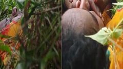 Today Exclusive – Desi Lover Romance and Out Door Fucking Part 2